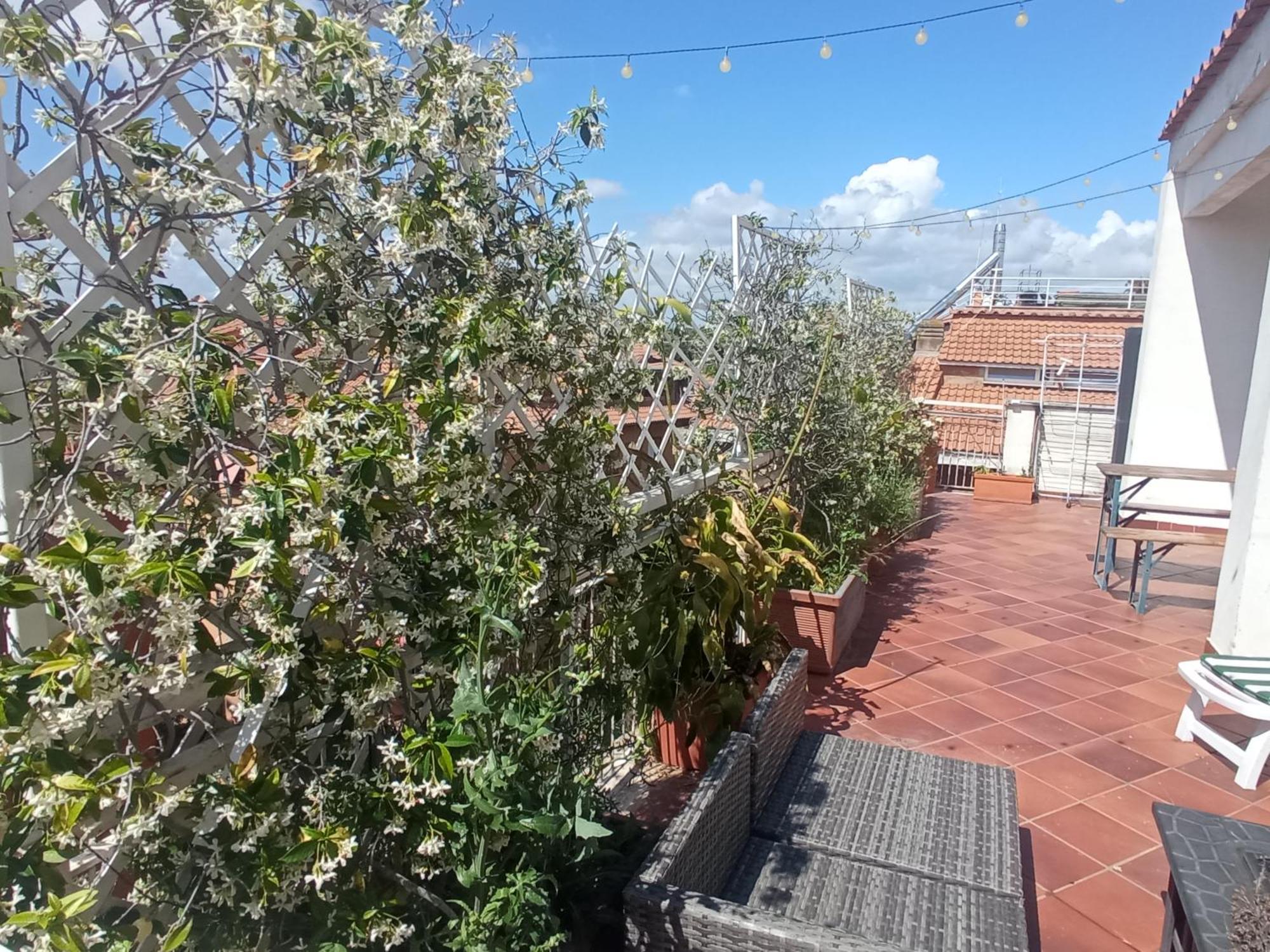 Rooftop Appia Antica,Silenzioso Riservato Two Bedrooms Two Bathrooms روما المظهر الخارجي الصورة